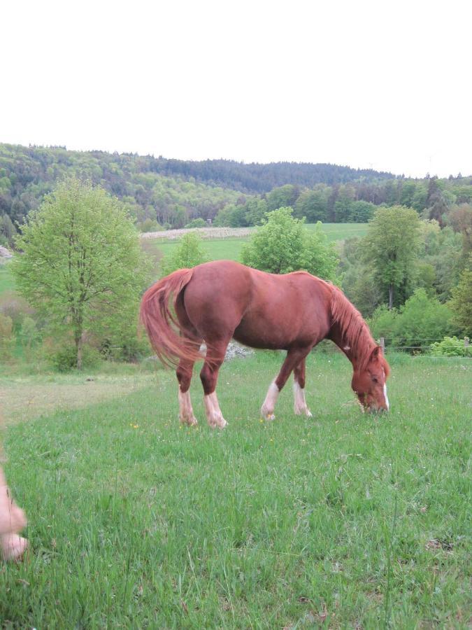 فيلا Bergfeldhof Haingrund المظهر الخارجي الصورة