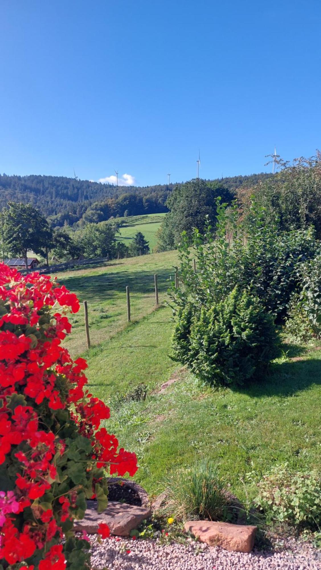 فيلا Bergfeldhof Haingrund المظهر الخارجي الصورة